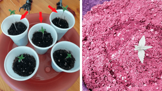 1597762230994.png 1597762230994.png