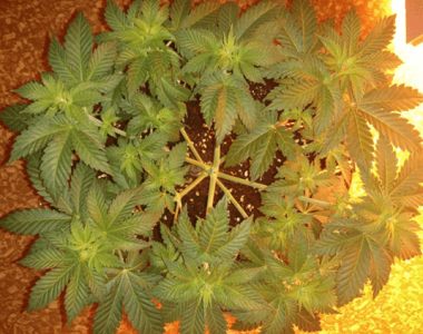 1601379890593.png 1601379890593.png