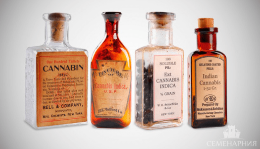 1604070239007.png 1604070239007.png