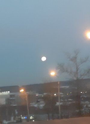 20220318_081942.jpg 20220318_081942.jpg