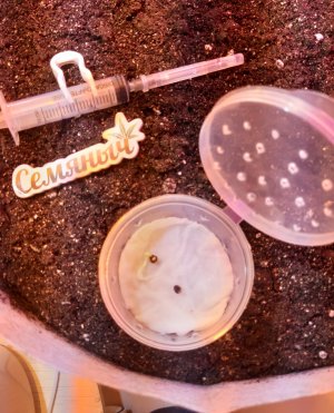 20220319_110110.jpg 20220319_110110.jpg