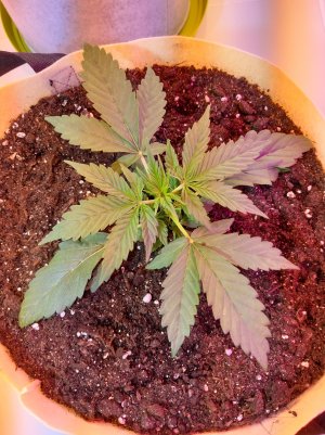 20220321_142328.jpg 20220321_142328.jpg