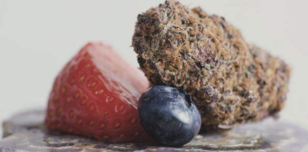 1648128596395.png 1648128596395.png