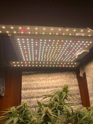 D667DF22-A7C6-4064-8ADD-9348D350FFC7.jpeg D667DF22-A7C6-4064-8ADD-9348D350FFC7.jpeg