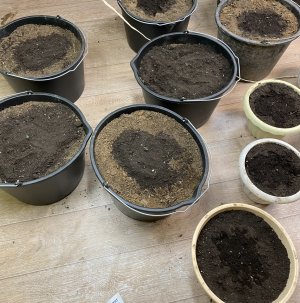 5BD9FFC9-8900-4E34-B62C-1908F63E9DC9.jpeg 5BD9FFC9-8900-4E34-B62C-1908F63E9DC9.jpeg