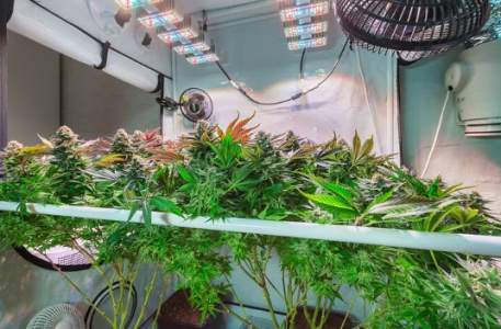 1731530942281.png 1731530942281.png