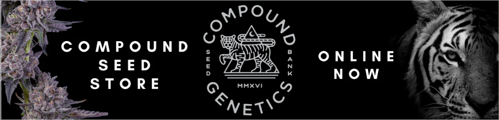 1731565268048.png 1731565268048.png