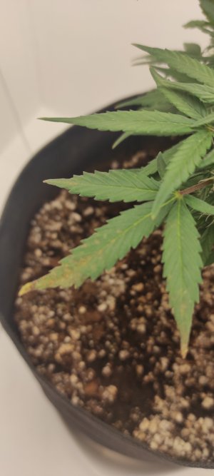 1000056791.jpg 1000056791.jpg