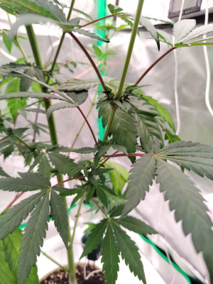 1734616627063.png 1734616627063.png