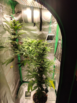 1735242014637.png 1735242014637.png