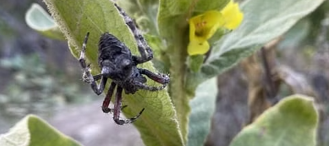 1736266135778.png 1736266135778.png