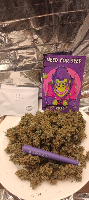 IMG_20250109_142131.jpg IMG_20250109_142131.jpg