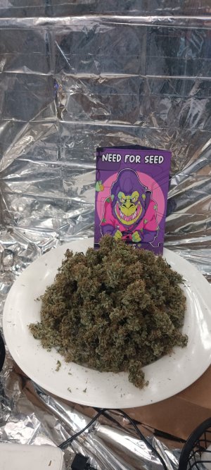 IMG_20250109_133358 (1).jpg IMG_20250109_133358 (1).jpg