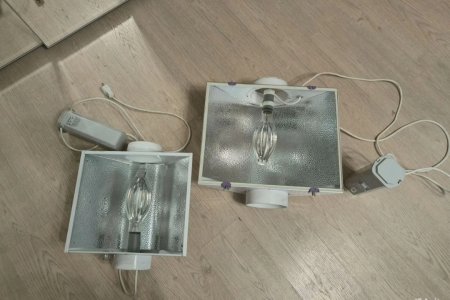 IMG_20250115_153031.jpg IMG_20250115_153031.jpg