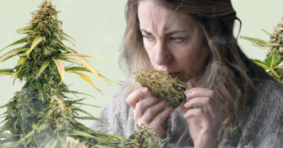 1737047883223.png 1737047883223.png