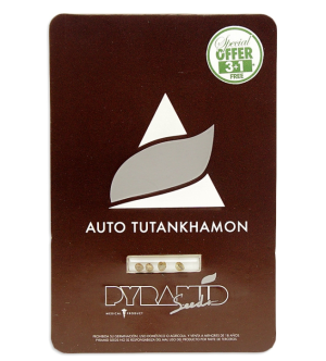 Снимок экрана 2025-02-06 110821.png