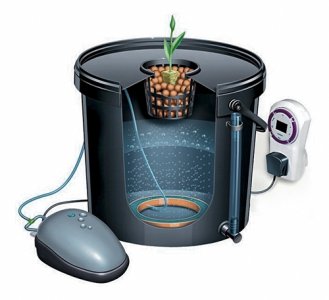 mceclip1-1578847304304.jpg mceclip1-1578847304304.jpg