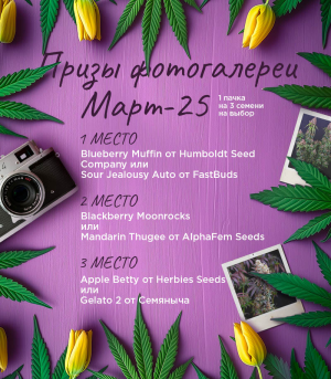 1740929960622.png 1740929960622.png