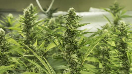 1742983766219.png 1742983766219.png