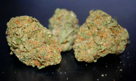 1742983801831.png 1742983801831.png