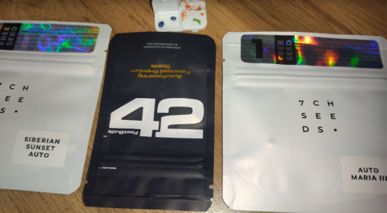 1743452220111.png 1743452220111.png