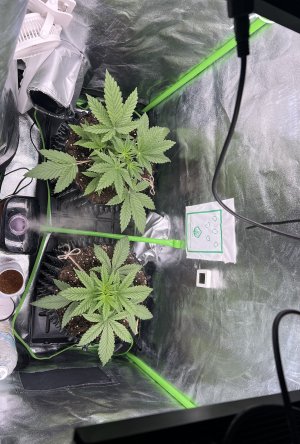 IMG_6214.jpeg IMG_6214.jpeg