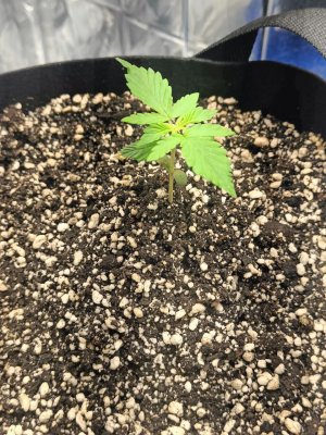 photo_2025-04-07_08-08-56 (2).jpg