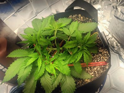 photo_2025-04-20_09-17-02 (2).jpg