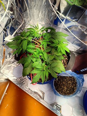 photo_2025-04-23_11-22-27 (2).jpg