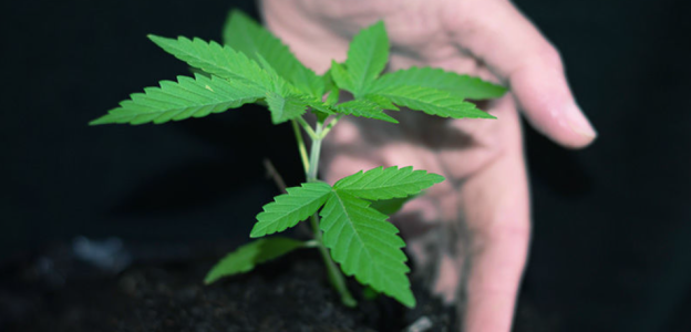 1745485056000.png 1745485056000.png