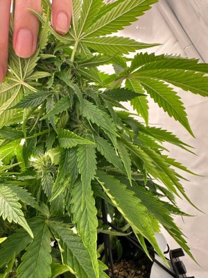 IMG_9400.jpeg IMG_9400.jpeg