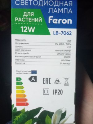 photo_5222256873170923142_y.jpg photo_5222256873170923142_y.jpg