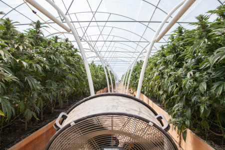 1746111874132.png 1746111874132.png