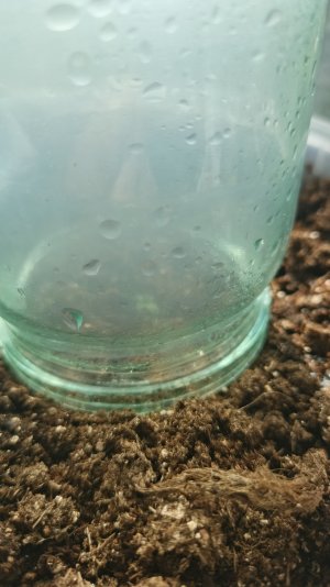 IMG_20250429_151854_252.jpg IMG_20250429_151854_252.jpg