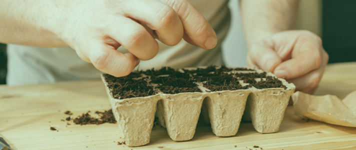 1746385889369.png 1746385889369.png