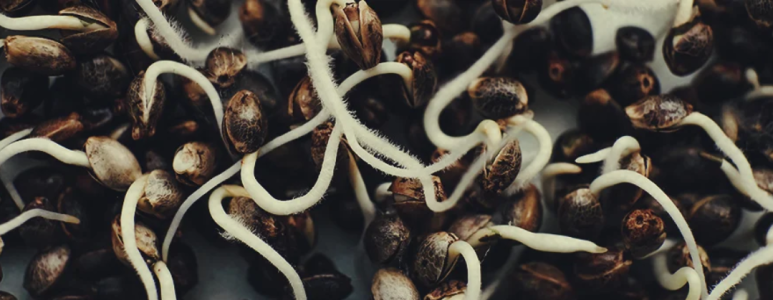 1746385994499.png 1746385994499.png