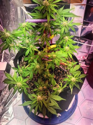 photo_2025-05-06_16-40-55 (2).jpg