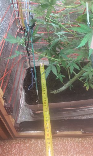 P50508-145841(1).jpg P50508-145841(1).jpg