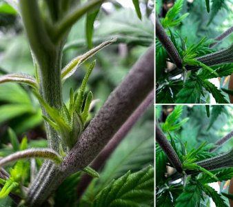 photo_2022-04-07_19-01-48.jpg photo_2022-04-07_19-01-48.jpg