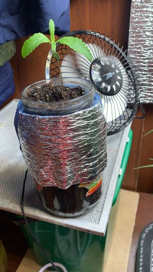 60BCBEAF-802F-4D9A-88D0-C97675350924.jpeg 60BCBEAF-802F-4D9A-88D0-C97675350924.jpeg