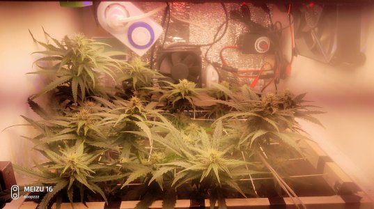 2025-05-11 140603.jpg 2025-05-11 140603.jpg