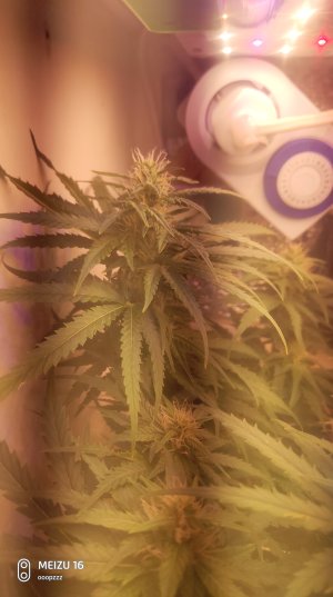 2025-05-11 140750.jpg 2025-05-11 140750.jpg