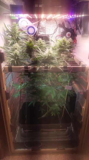 2025-05-15 094553.jpg 2025-05-15 094553.jpg