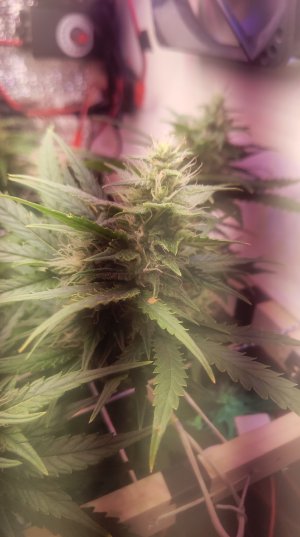 2025-05-16 160215.jpg 2025-05-16 160215.jpg