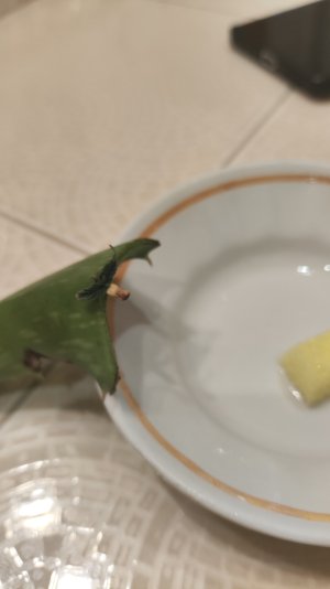 1000365393.jpg 1000365393.jpg