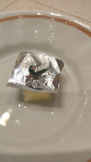 1000365394.jpg 1000365394.jpg