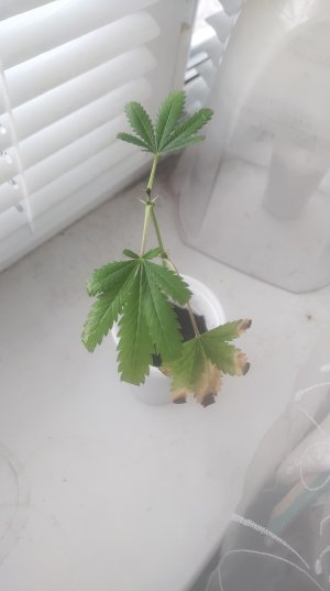 P50529-065513 (1).jpg