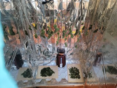 photo_2025-06-03_08-02-16 (3).jpg