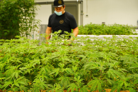 1748954481890.png 1748954481890.png