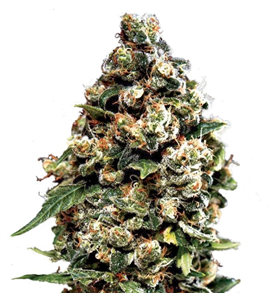 1749052349347.png 1749052349347.png